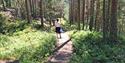 Woman walks on the forrest trail to the Garvann falls
