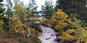 autumn landscape with a small stream on Blefjell