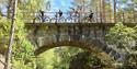 group of cyclists cycle over a bridge on the cycle path "old Treungenbanen"