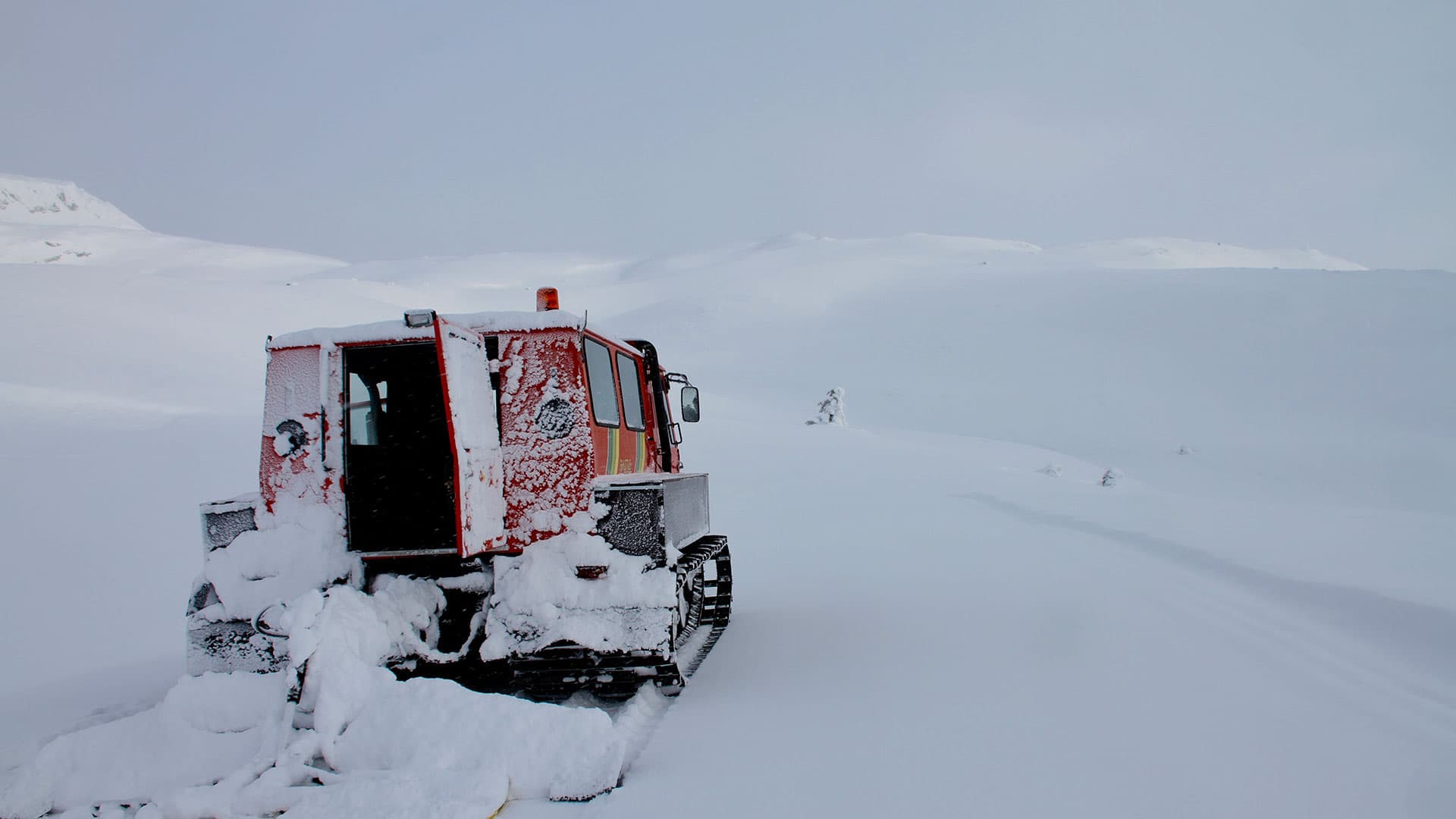 Weasel tour at Lifjell