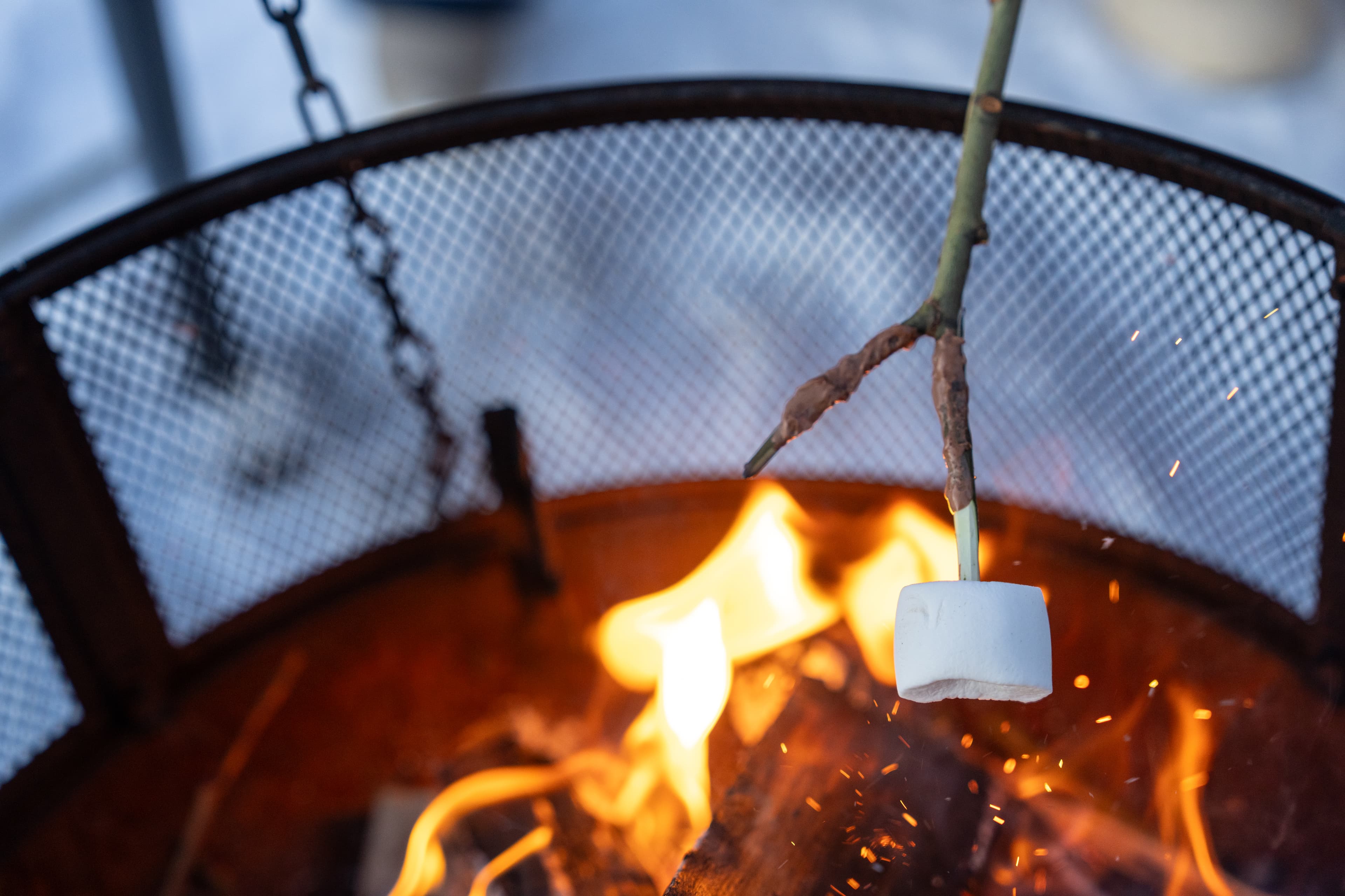 Marshmallows at the terrace