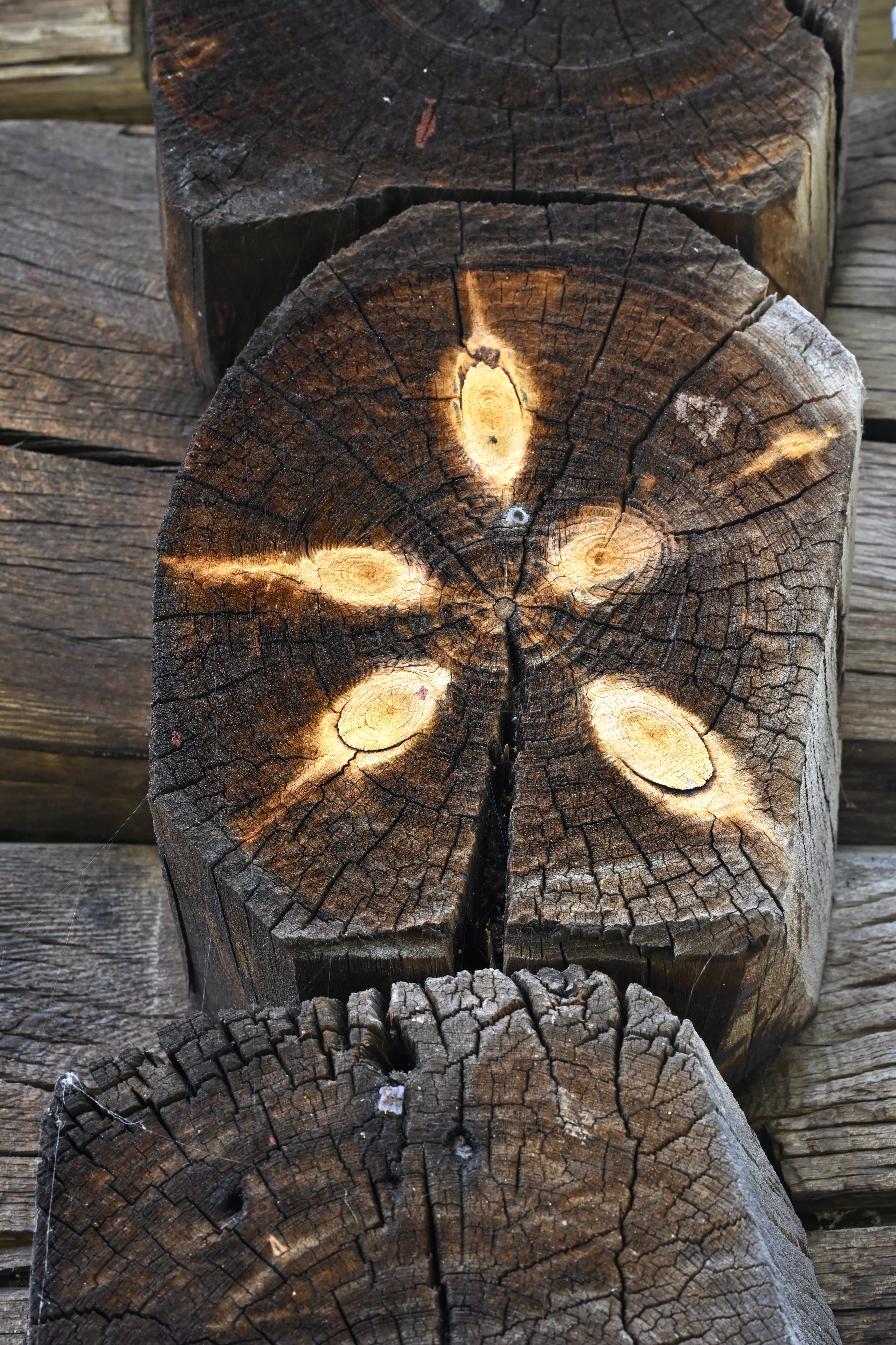 A Cultural-Historical Walk Through the Centuries in Telemark