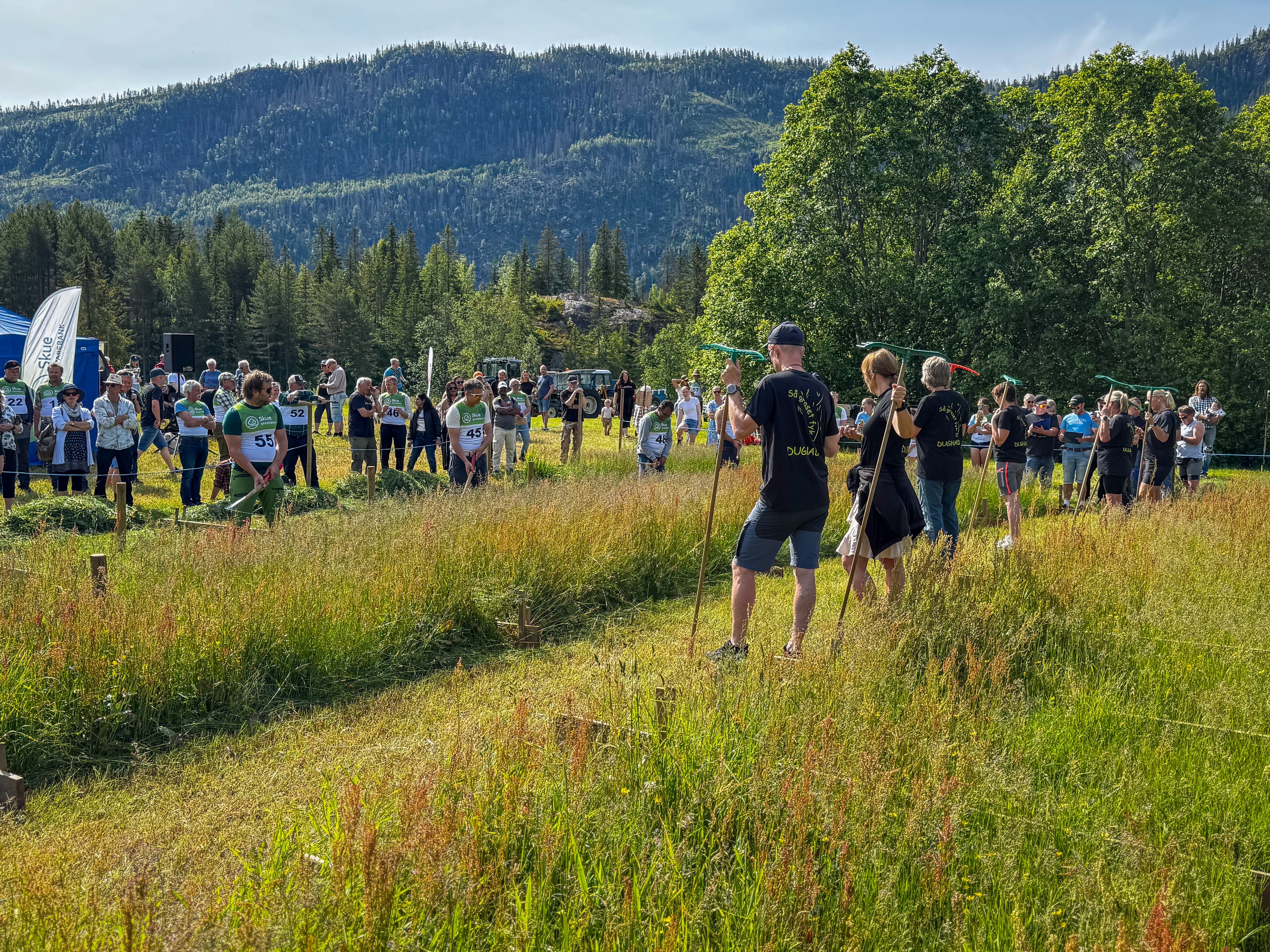 The Scything Festival in Hjartdal