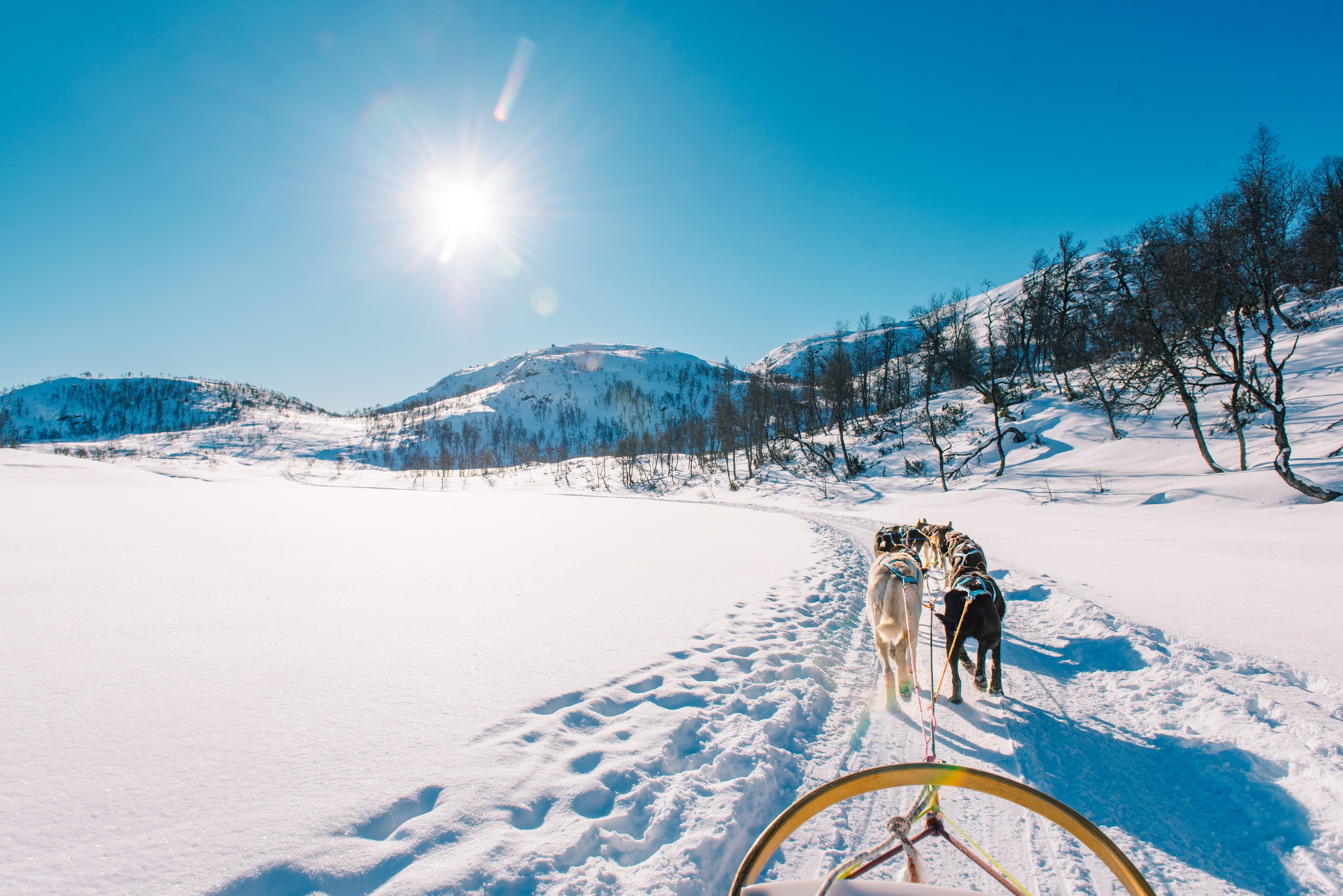 Tired of skiing?