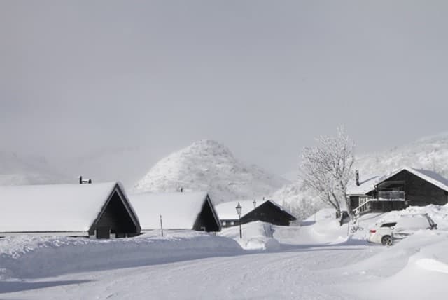 Lifjelltunet