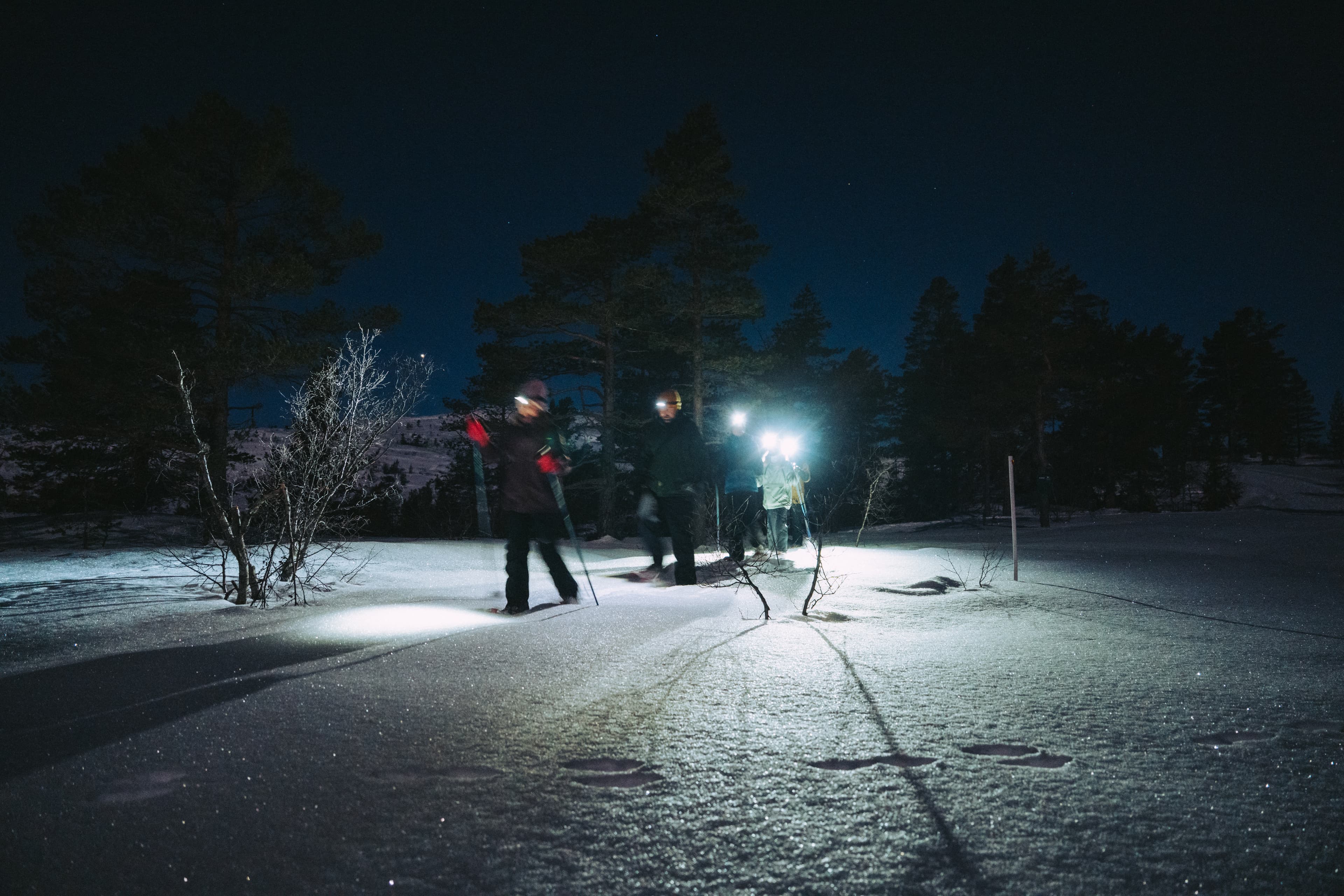 Stargazing with snowshoes in Vrådal