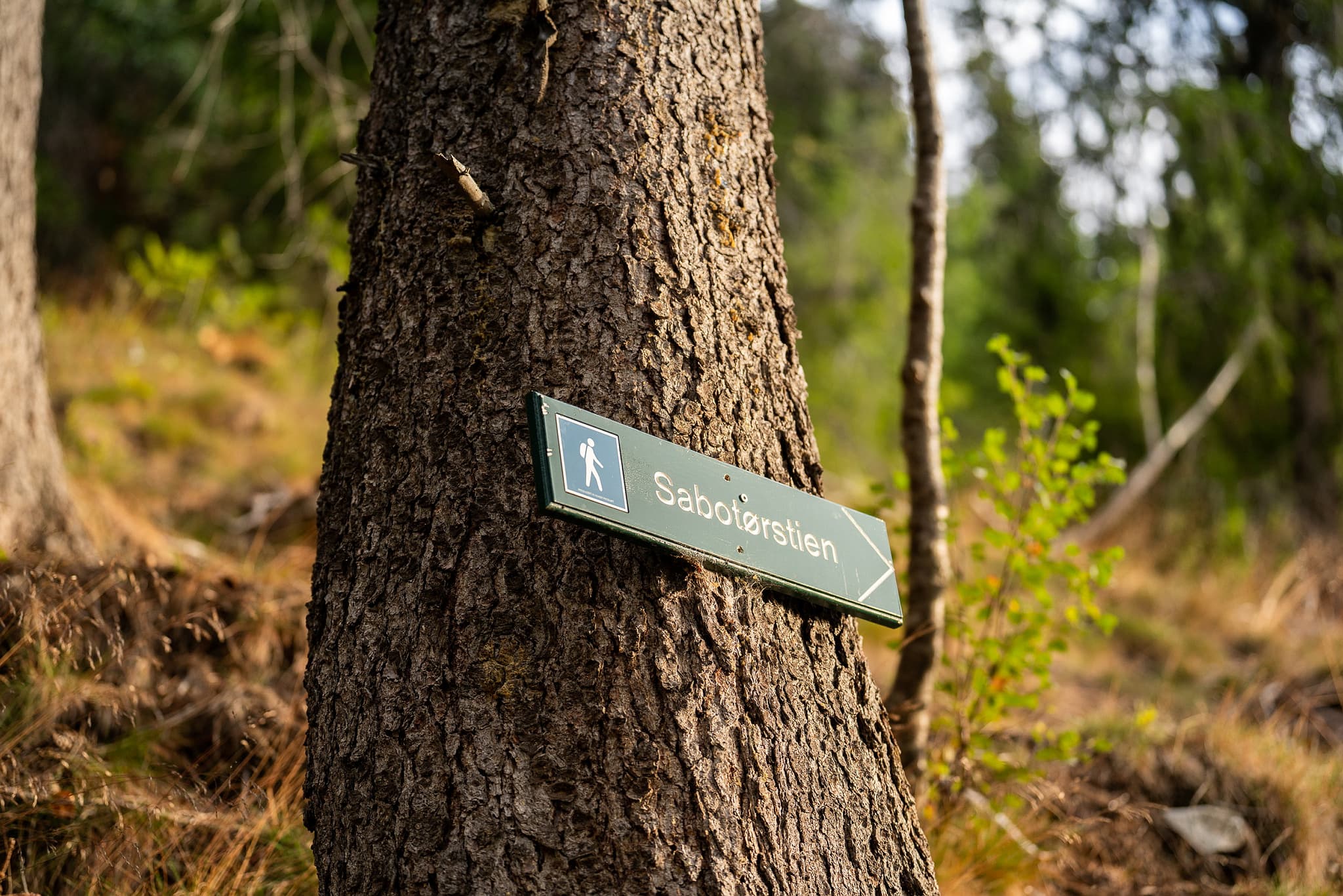 Hike in the Footsteps of the Saboteurs