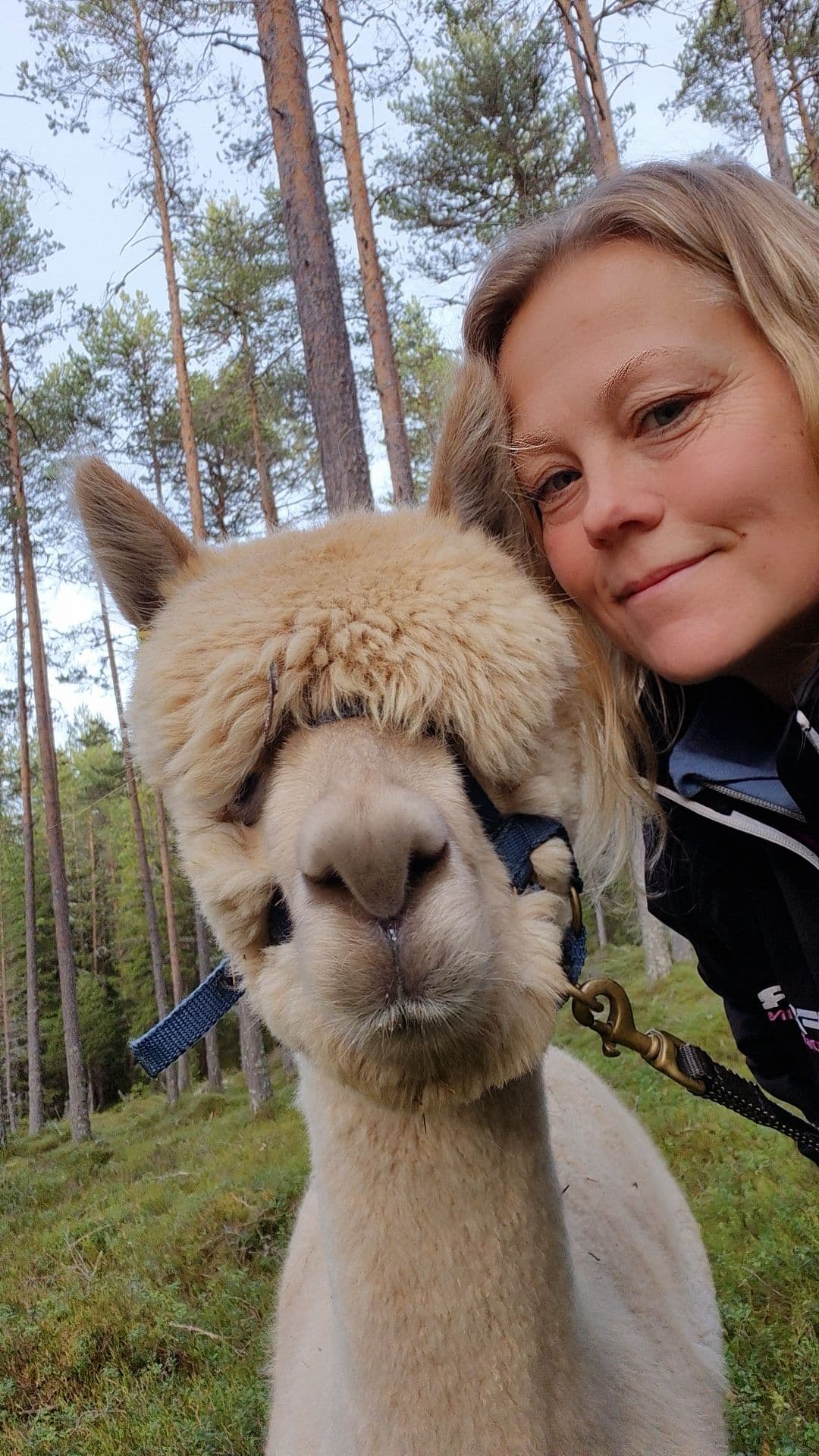 Alpaca/Goat Hike