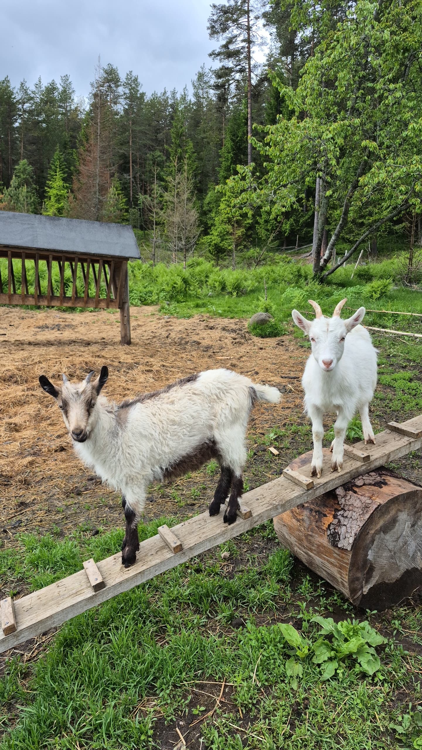 Farm Visit