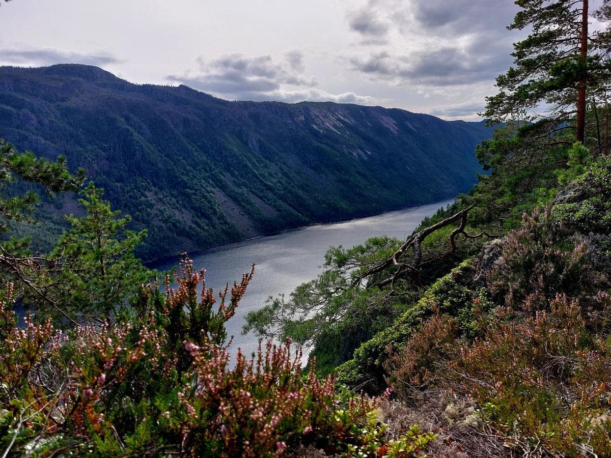 Hero image