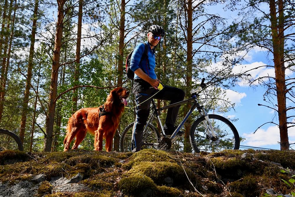 Hero image