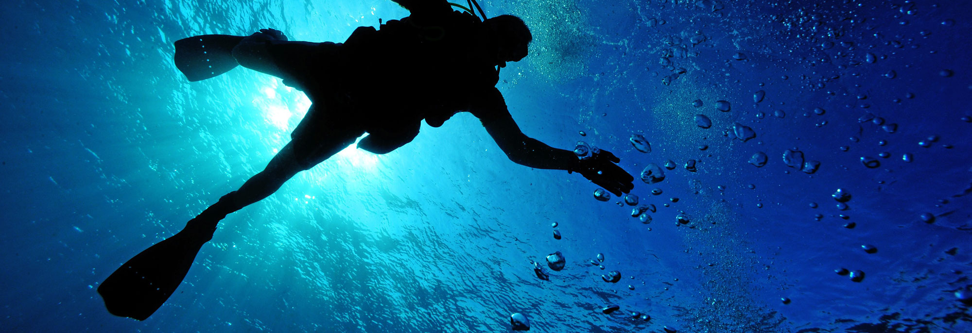 Diving in Bamble - VisitBamble.com