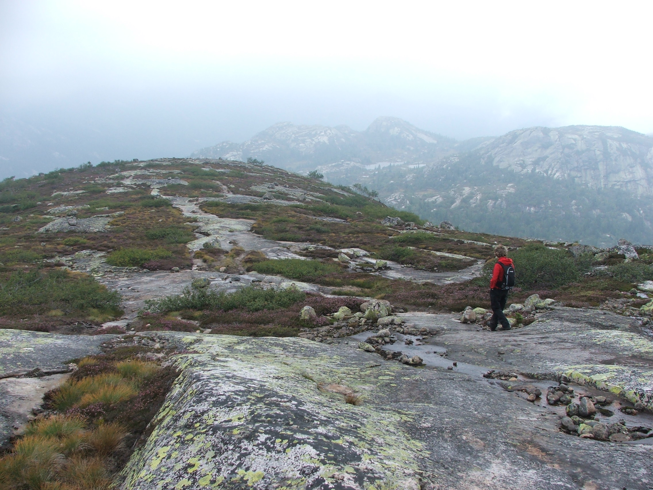 Hægefjell Nissedal Hiking in Nissedal, Nissedal Visit Telemark