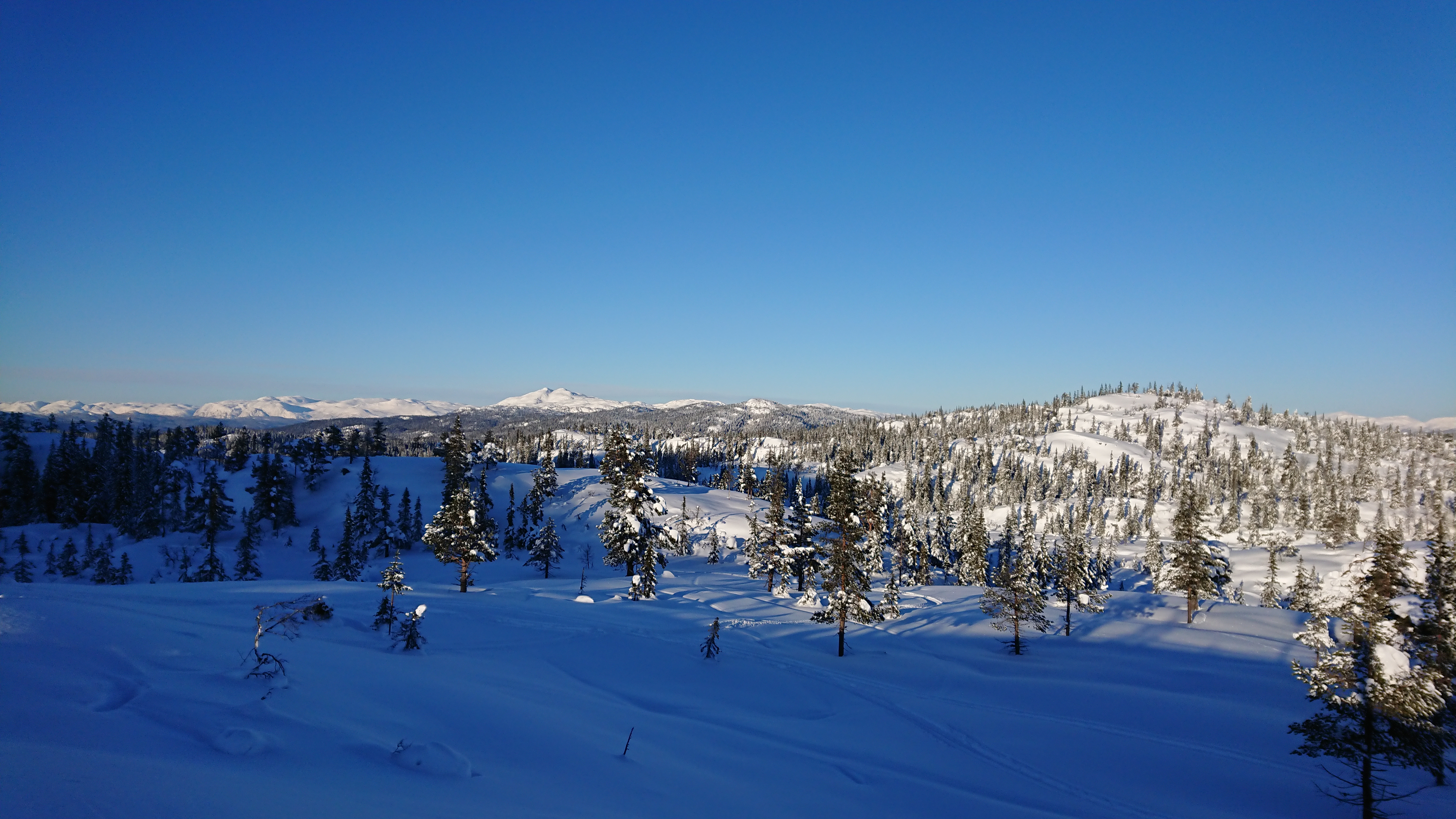 Høydalsmo in winter - Cross Country in Høydalsmo, Tokke - Dalen