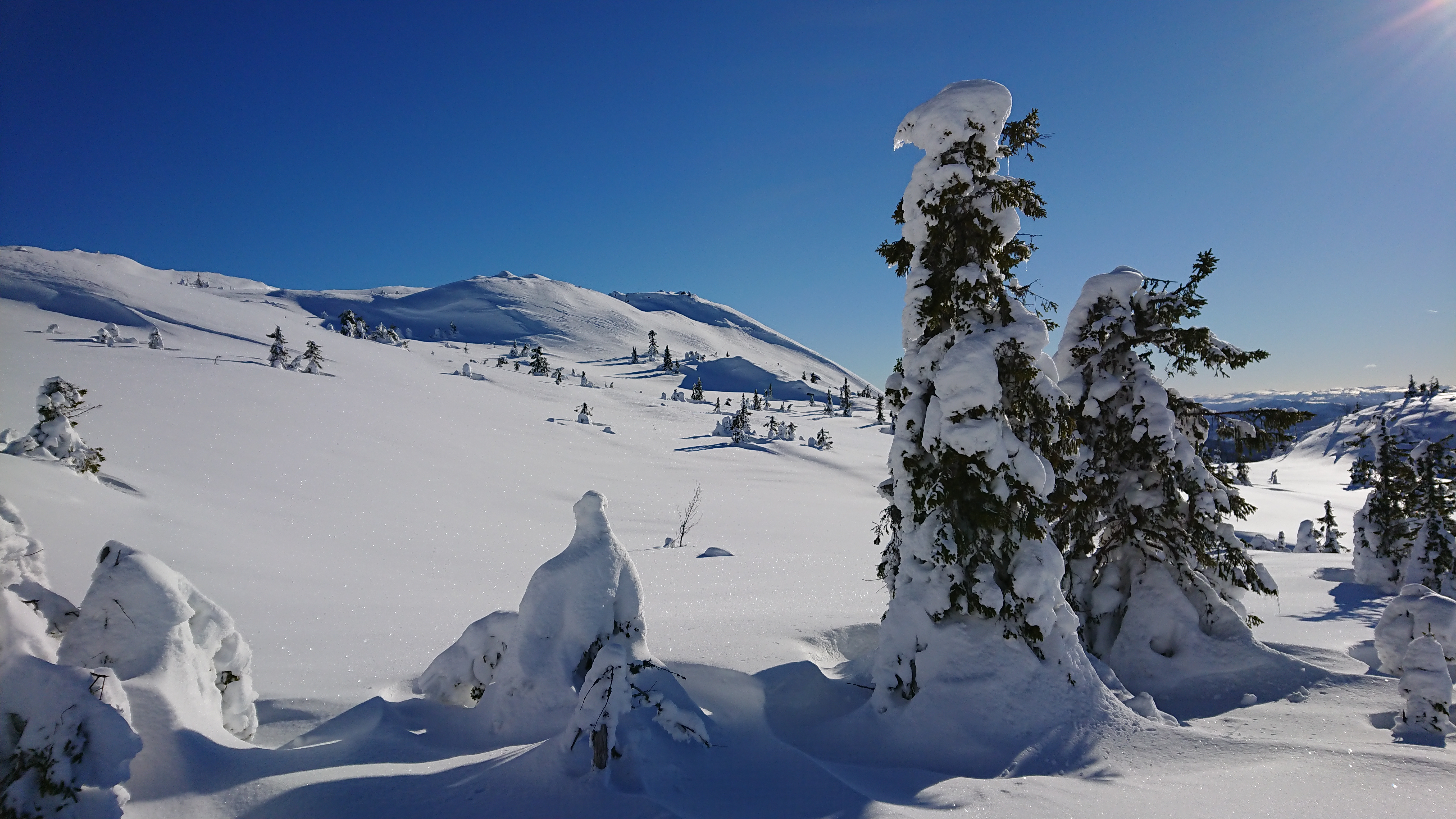 Høydalsmo in winter - Cross Country in Høydalsmo, Tokke - Dalen
