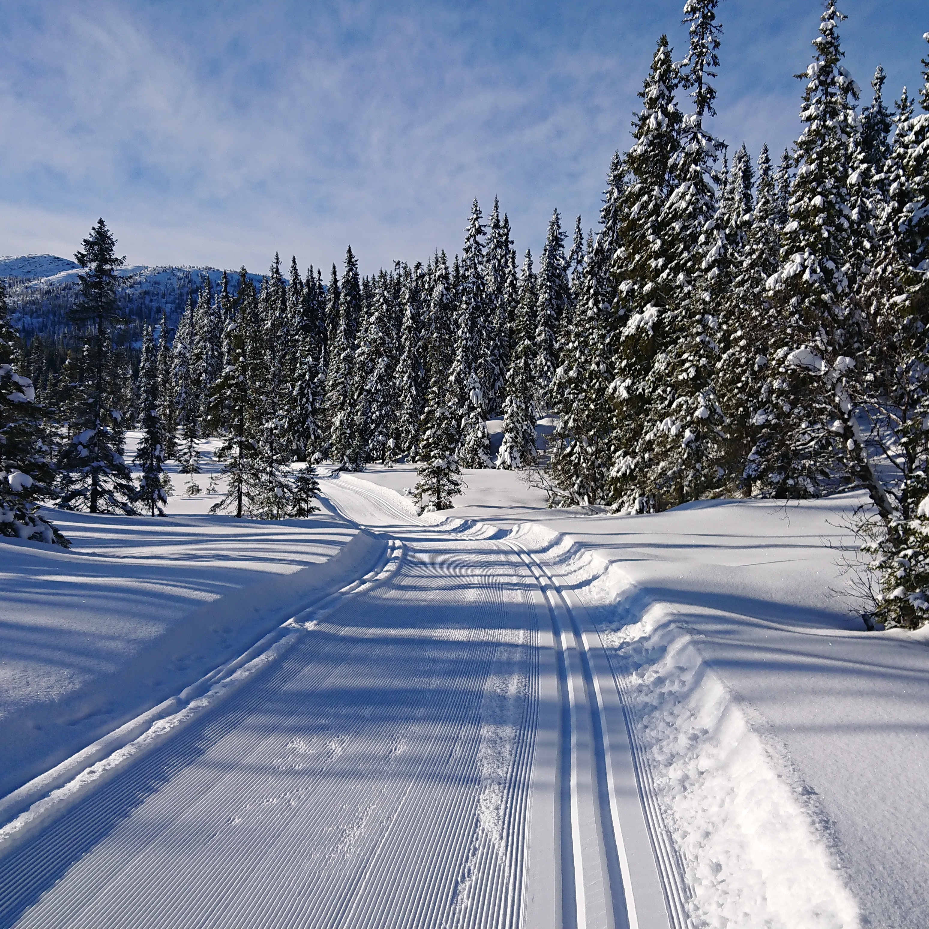 Høydalsmo in winter - Cross Country in Høydalsmo, Tokke - Dalen