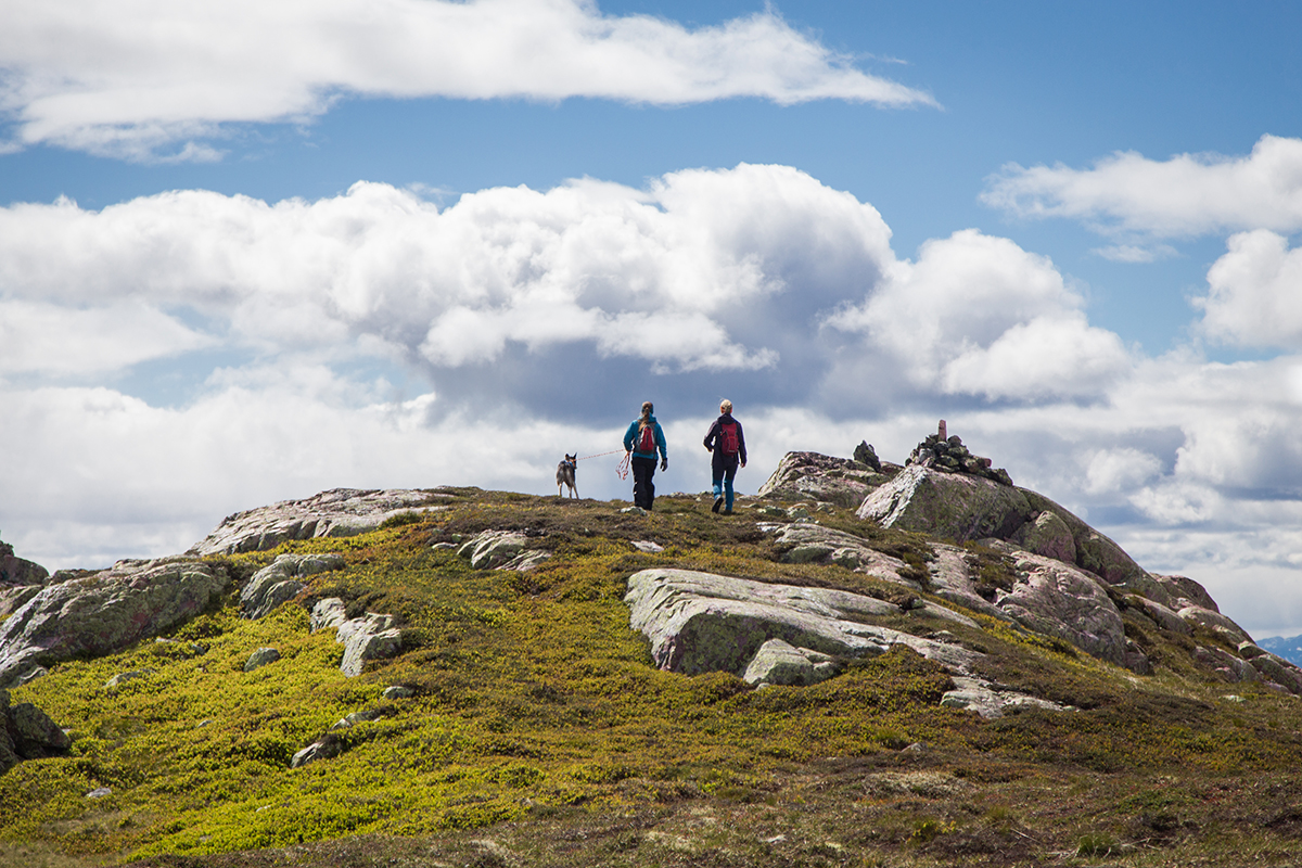 Skorve - Hiking in Seljord, Seljord - Seljord