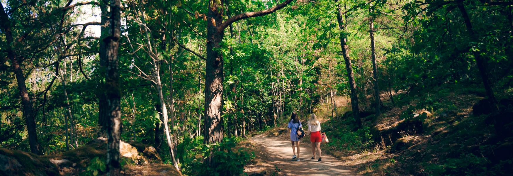 2 girls go for a walk in the forest