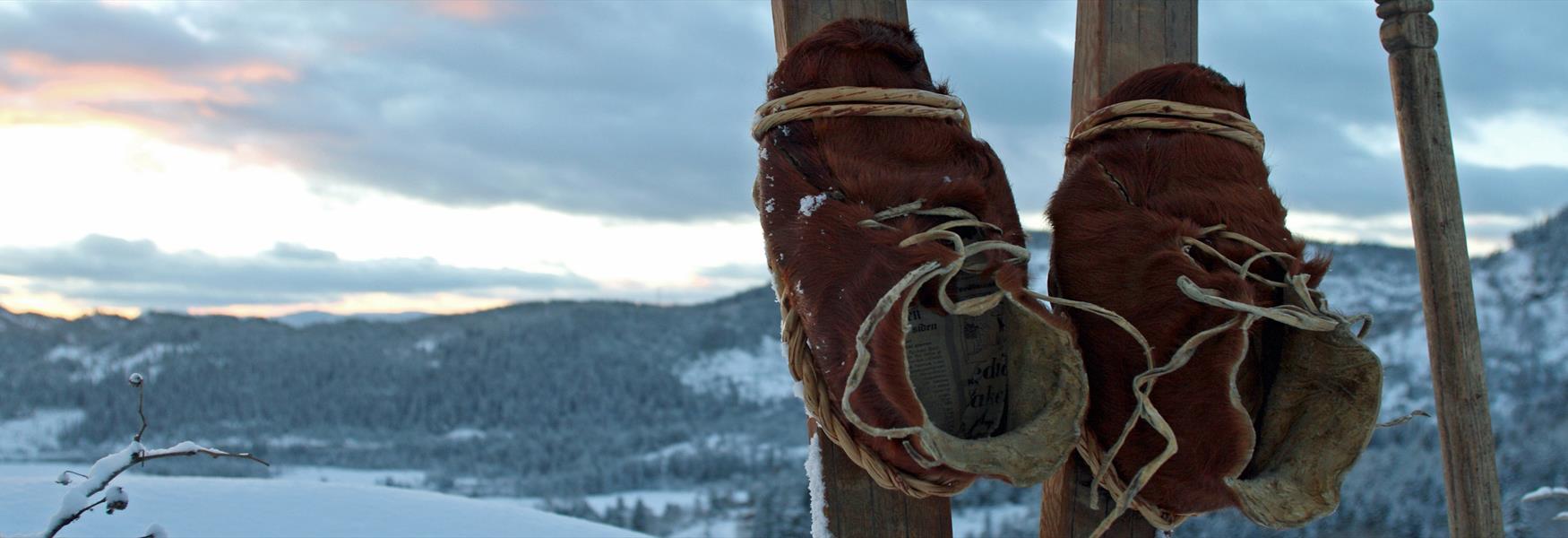 Ski history