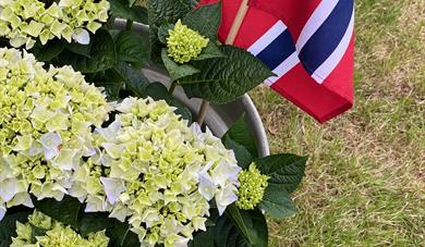 17. MAI