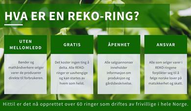 REKO-ringen Vest-Telemark