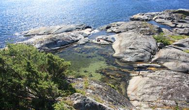 Arøy
