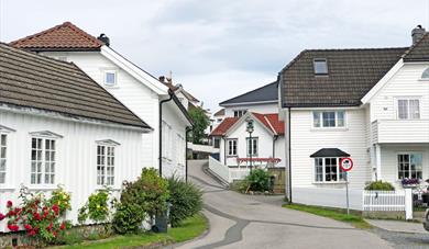 residential building in a small street in Stathelle