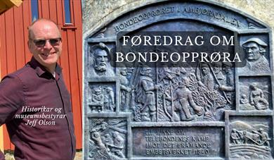 Mellomalderen i Agder og Telemark - Stig Bagge og bondeopprøra