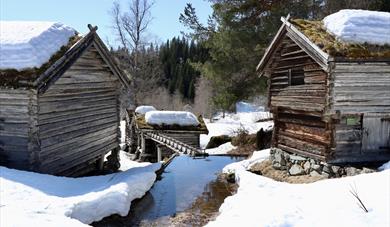 Bli med og stift lokallag i Vest-Telemark!