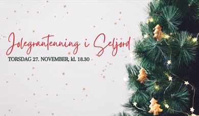 Jolegrantenning i Seljord