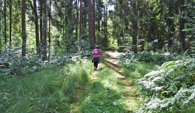 Path from Sandøya and Dikkon to Løvøya
