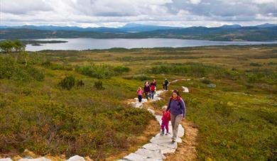 group of adults and children walking on the sherpastie
