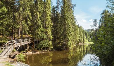 hiking trail that goes past a lake at the ski leisure park