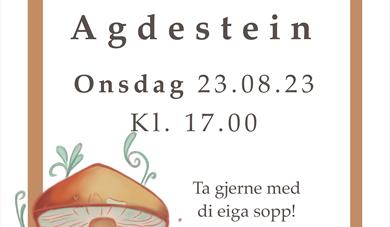 Lær om sopp