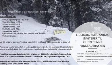 Gubberenn i Vindlausbakken i Eidsborg