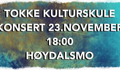 Konsert Tokke kulturskule