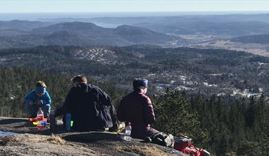Vealøs