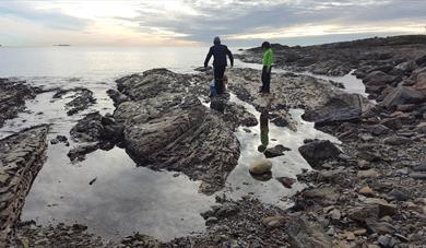 Jypleviktangen - Bamble