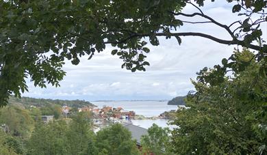 Hiking along the coastal path: Valle - Fossing