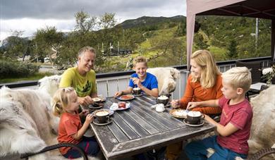 Lifjellstua mountain lodge