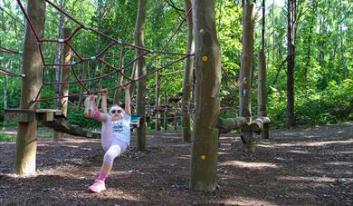 Tarzan Trail in Studsdalen