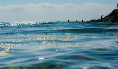 Diving off Brevikstrand and the island of Kjønnøya