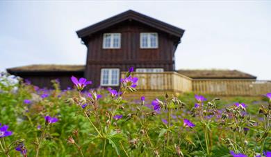 cabin at Rauland holiday center in the summer