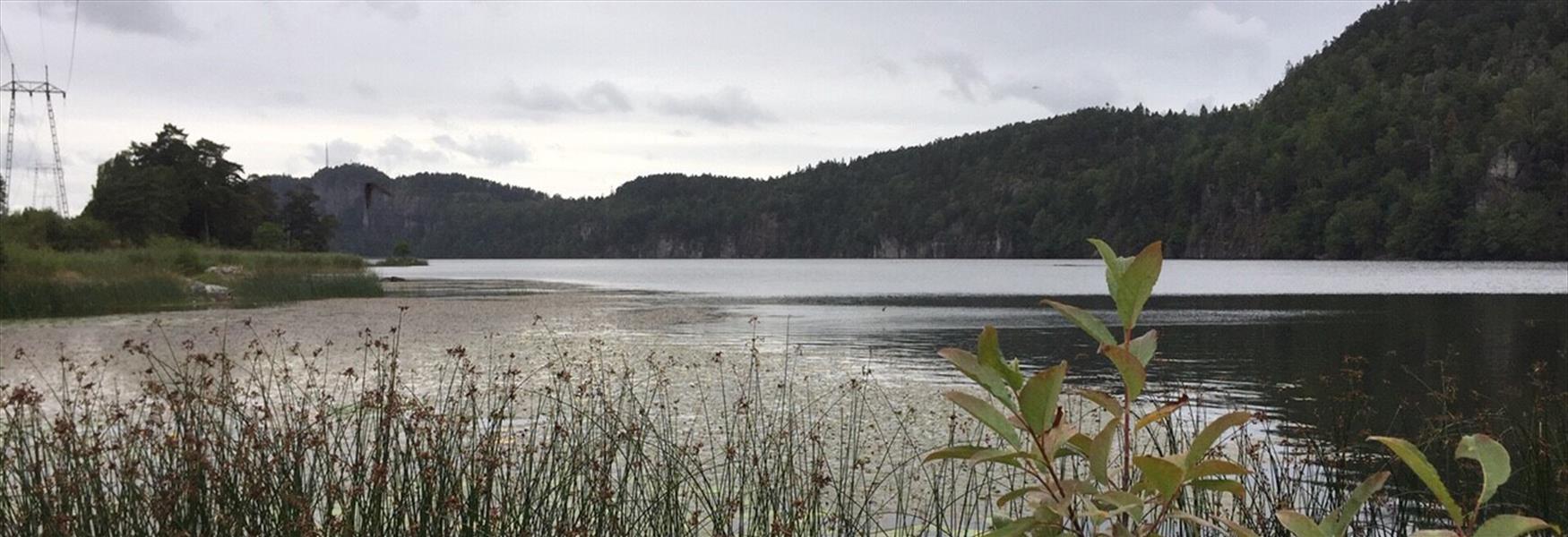 Stokkevannet