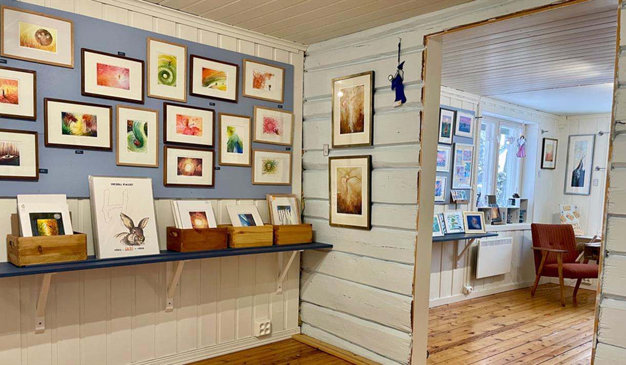 various pictures at gallery Merleyn in Fyresdal