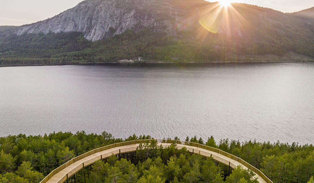 The view from the treetop trail in Hamaren.