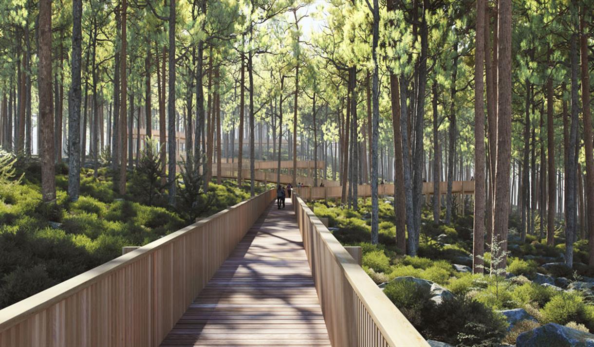 The tretopp walk at the Hamaren activity park