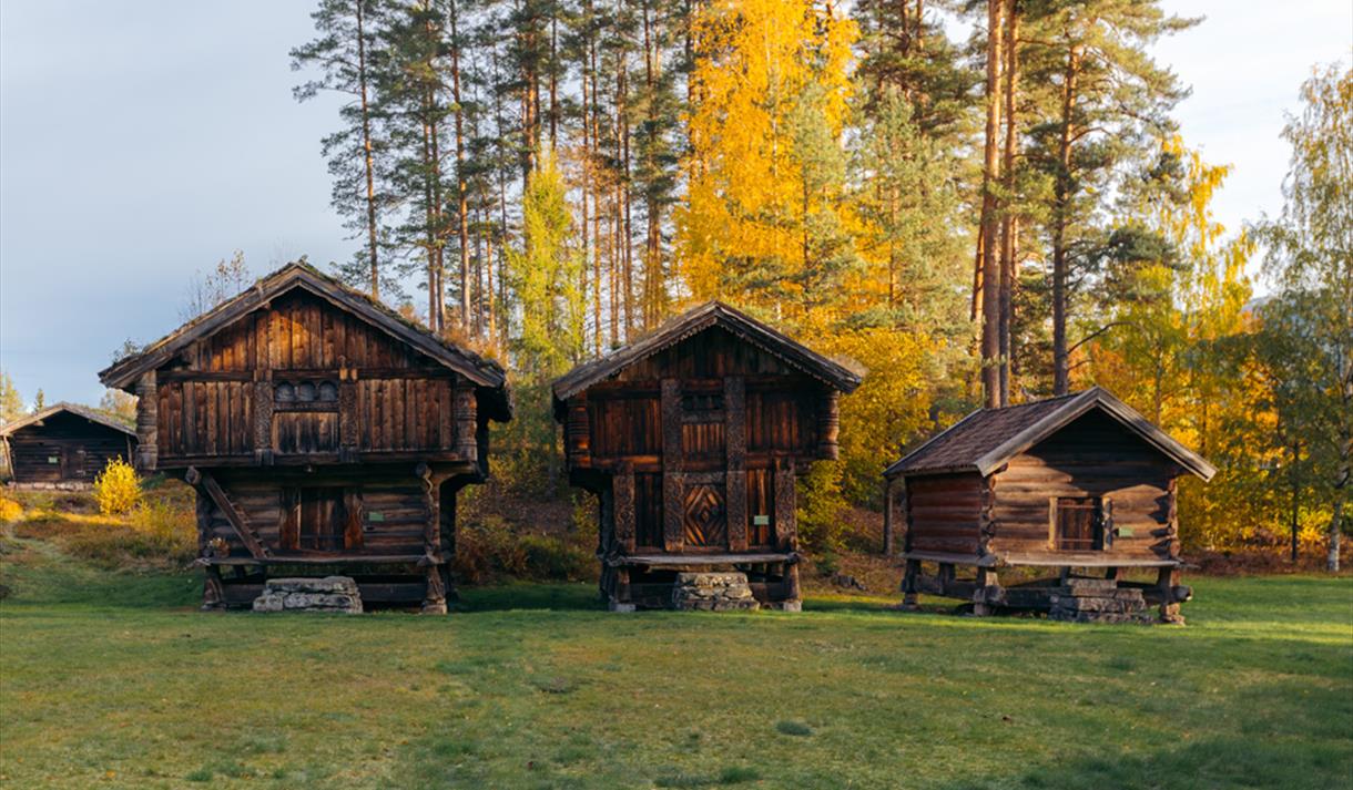 the storehouses at Kviteseid village farm in autumn
