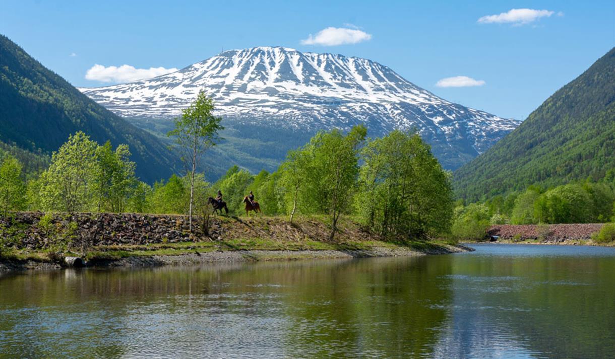 Gaustatoppen from Miland