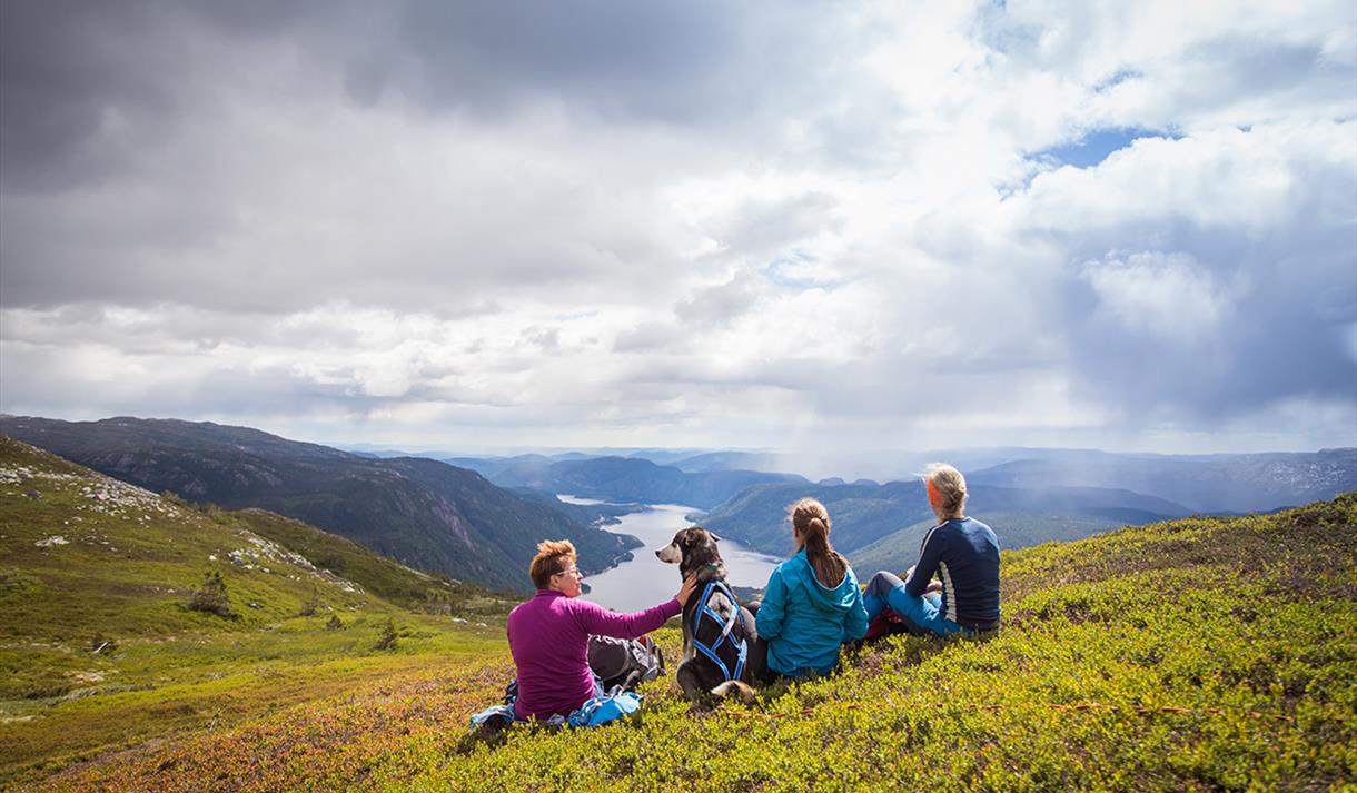 group of walkers and dog take a break and enjoy the view from Skorve